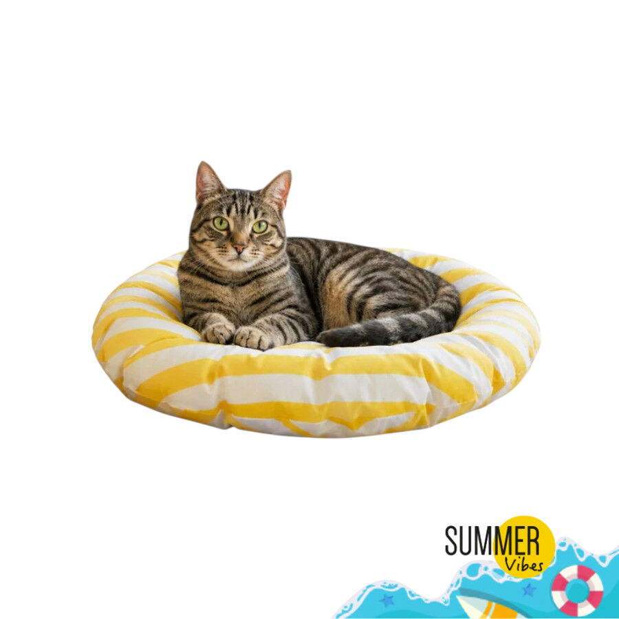 Summer Vibes Cama Redonda Refrescante Amarilla para gatos, , large Imagen numero 1