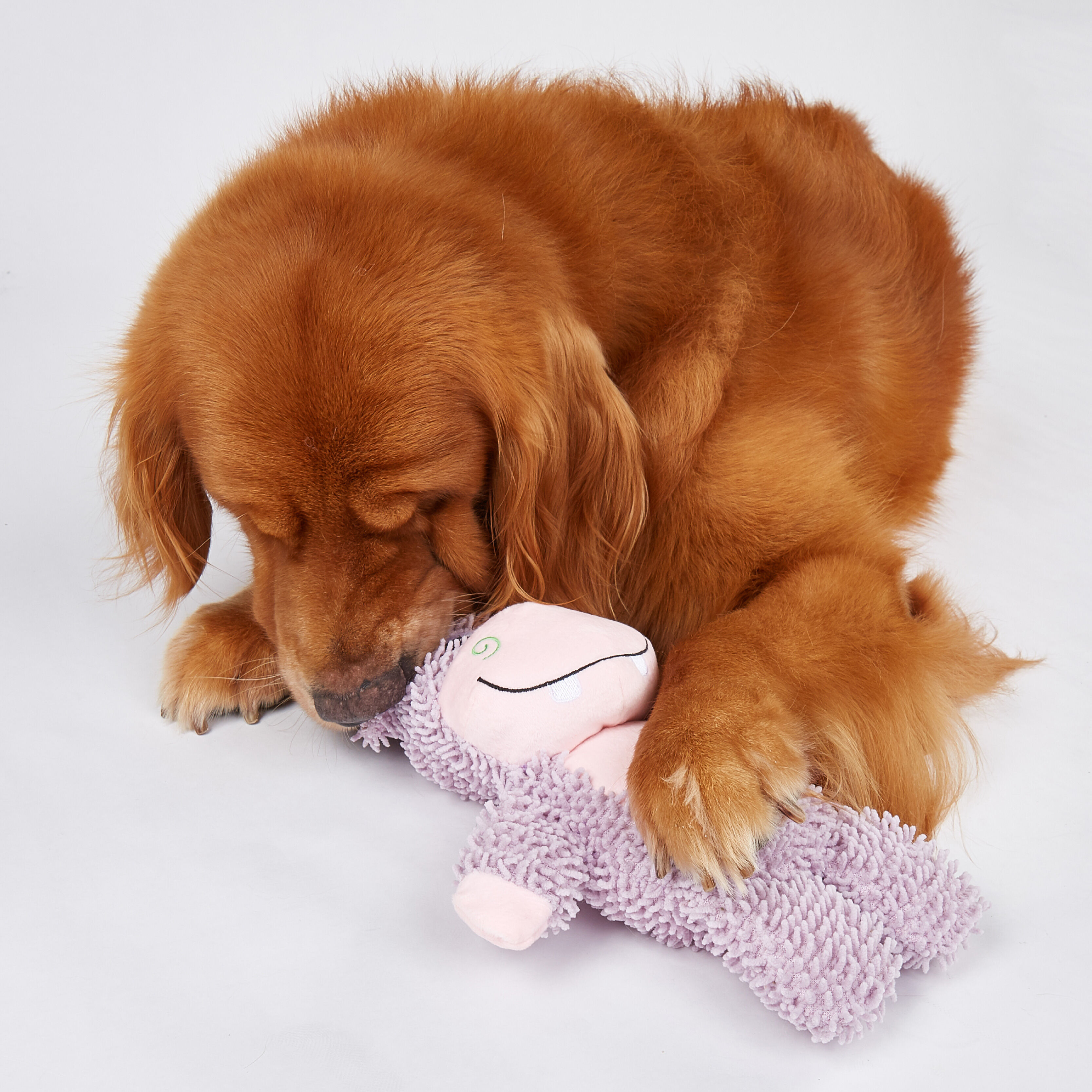 Juguete Resistente para Perro &ndash; Hipop&oacute;tamo, , large Imagen numero 4