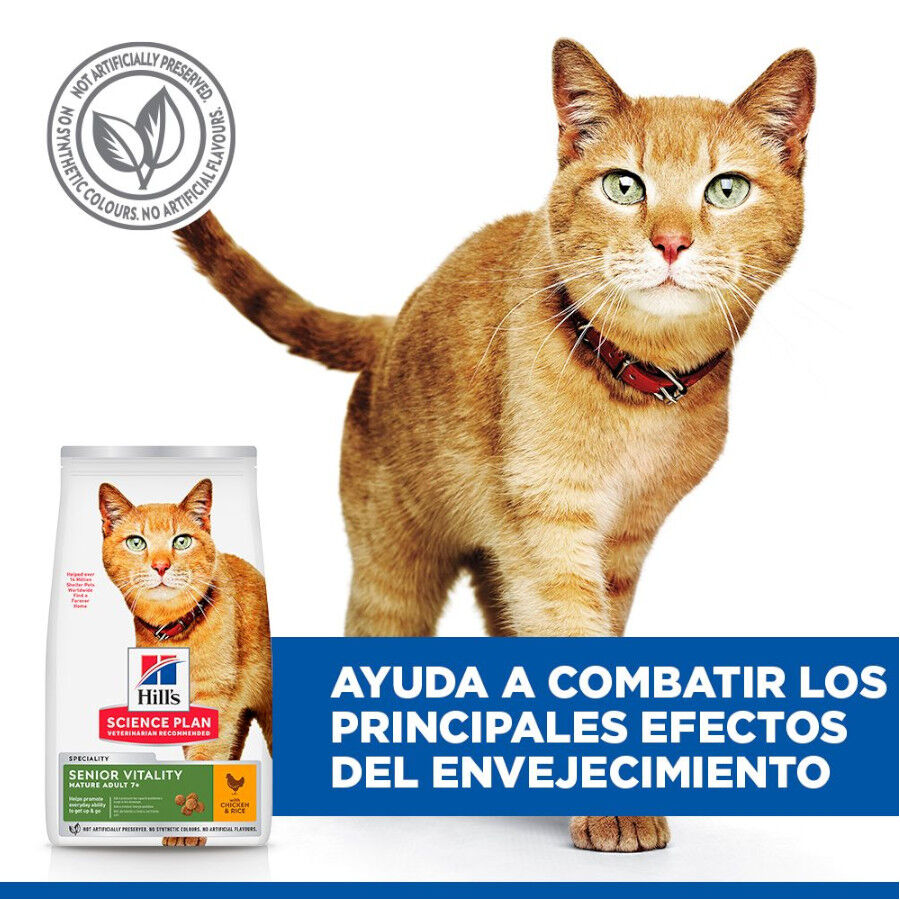 Hill&#039;s Science Plan Youthful Vitality Pollo pienso para gatos thumbnail