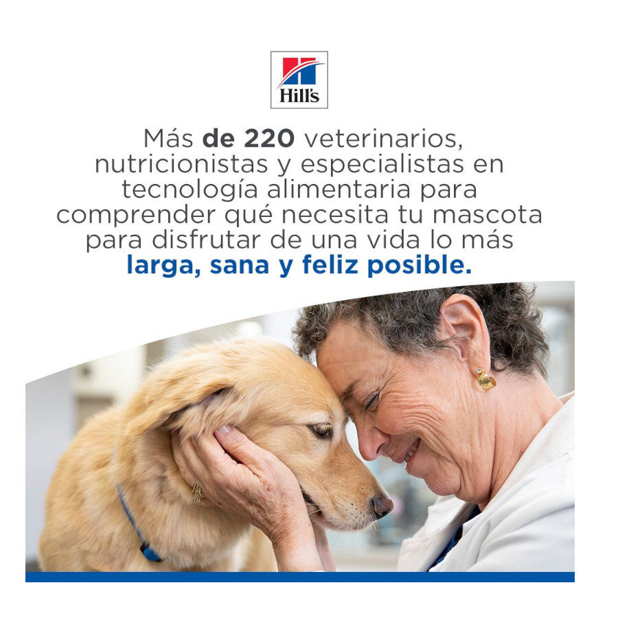 14 kg Hill's Science Plan Sensitive Stomach y skin Adult Pollo pienso para perros, , large Imagen numero 11