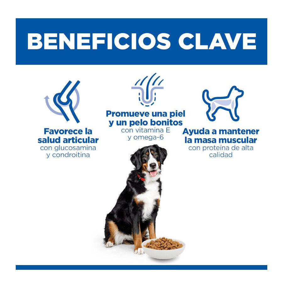 18 kg Hill's Science Plan Adult Large Pollo pienso para perros, , large Imagen numero 6