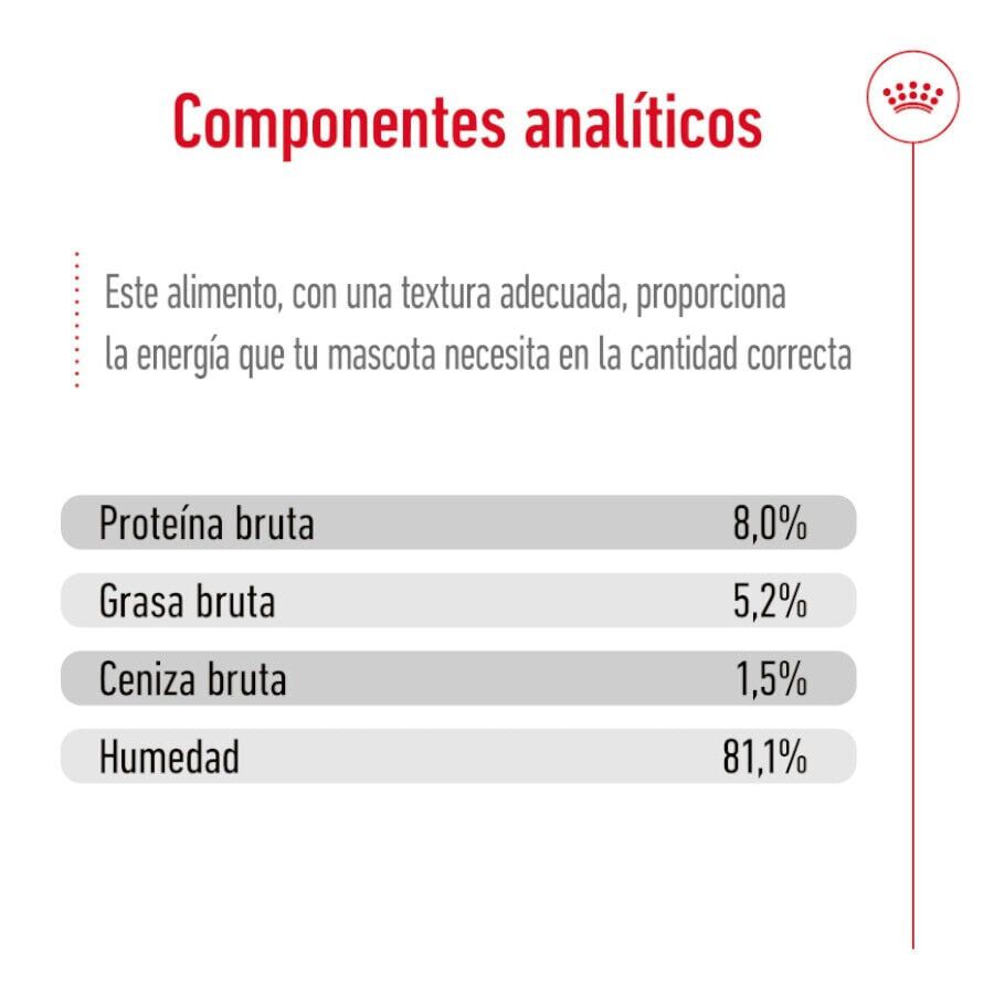 85 g Royal Canin X-Small Adult sobres en salsa para perros, , large Imagen numero 5