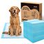 Nobleza Empapadores Perros 60x60cm Pañales Desechables para Perros, 100 Unidades Alfombra Toallas Higiénica Absorbente y Antifugas Empapadores para Mascotas,Empapadores Perros, , large indicador imagen numero 7