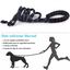 Correa MyPetCare para perro color Negro, , large indicador imagen numero 4