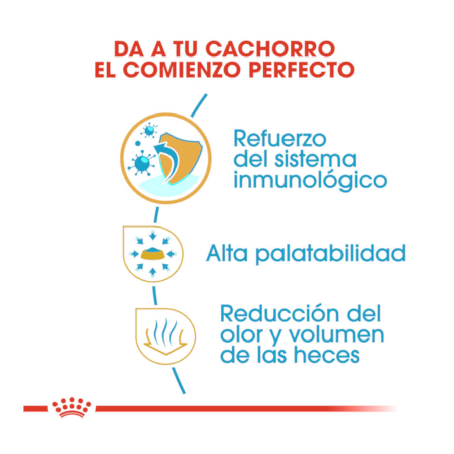 Royal Canin Puppy Chihuahua pienso para cachorros thumbnail