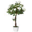 Outsunny Planta Artificial de 90 cm Rosa Blanca Realista con 21 Flores y 350 Hojas Maceta de Cemento Incluida para Interior y Exterior Verde, , large indicador imagen numero 1