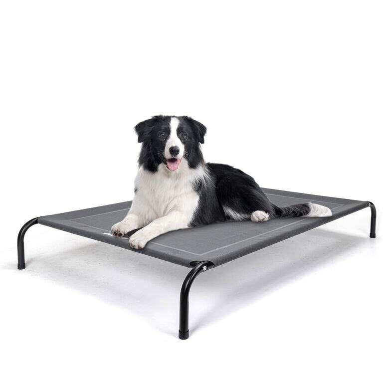 Nobleza Cama Elevada para perros thumbnail
