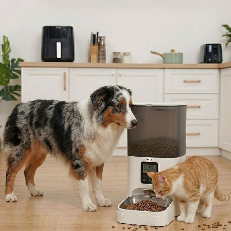 Leeby Comedero Autom&aacute;tico Programable Blanco y Gris para perros y gatos, , large Imagen numero 1