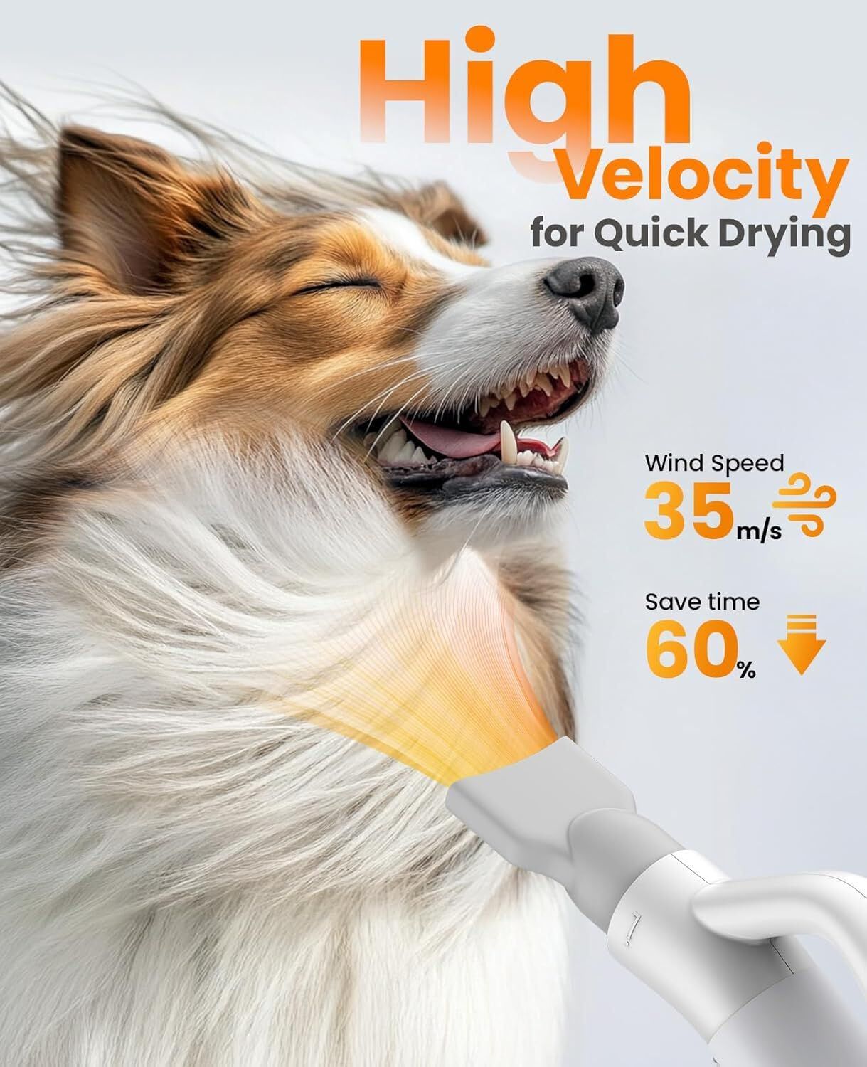 Nobleza Secador Pelo para perros thumbnail