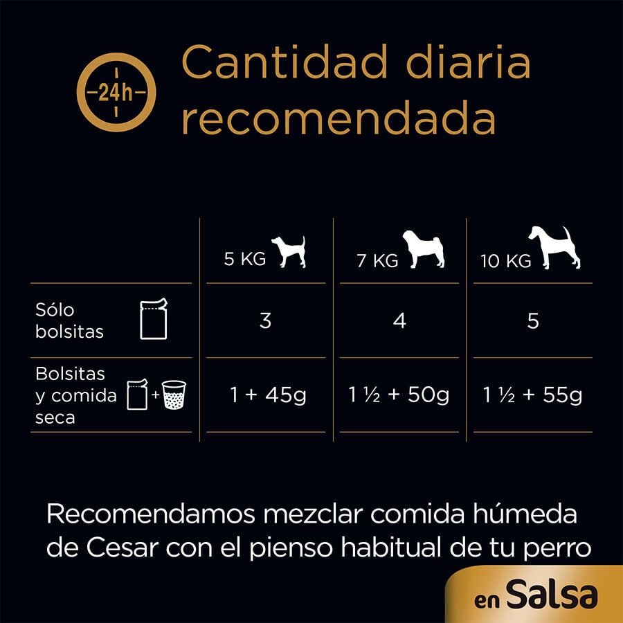 Cesar Carnes Mixtas Salsa en Bolsita para Perros - Multipack thumbnail