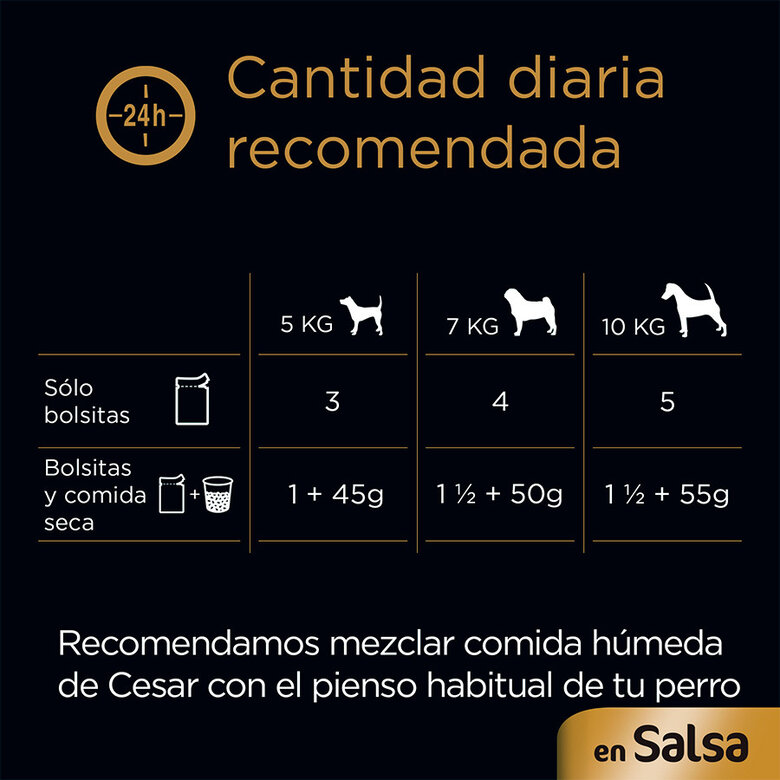 Cesar Carnes Mixtas Salsa en Bolsita para Perros - Multipack, , large image number null