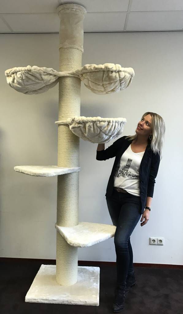 Rascador Maine Coon Tower para gatos color Cream, , large Imagen numero 2