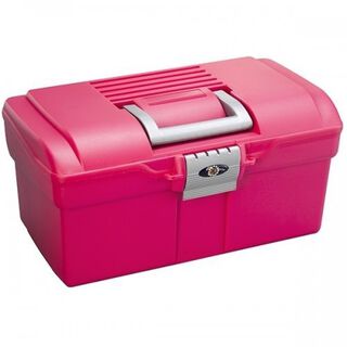 Caja mediana con asa ProTack para accesorios color Frambuesa/Plata