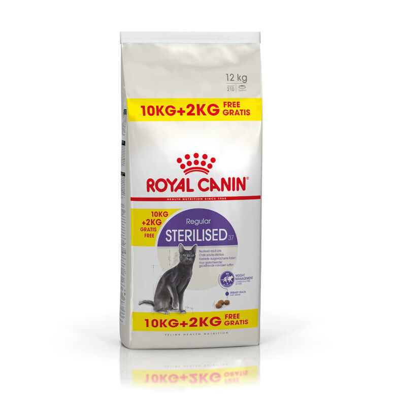 Royal Canin Regular Sterilised 37 pienso para gatos thumbnail