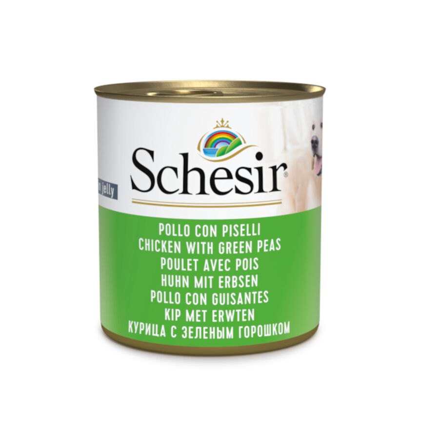 Schesir Adult pollo con guisantes lata para perros