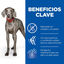 Hill's Science Plan Adult Large Pollo pienso para perros, , large indicador imagen numero 3