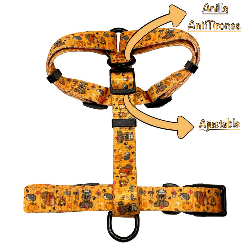 ARN&Eacute;S CL&Aacute;SICO YOSEMITE, , large Imagen numero 2