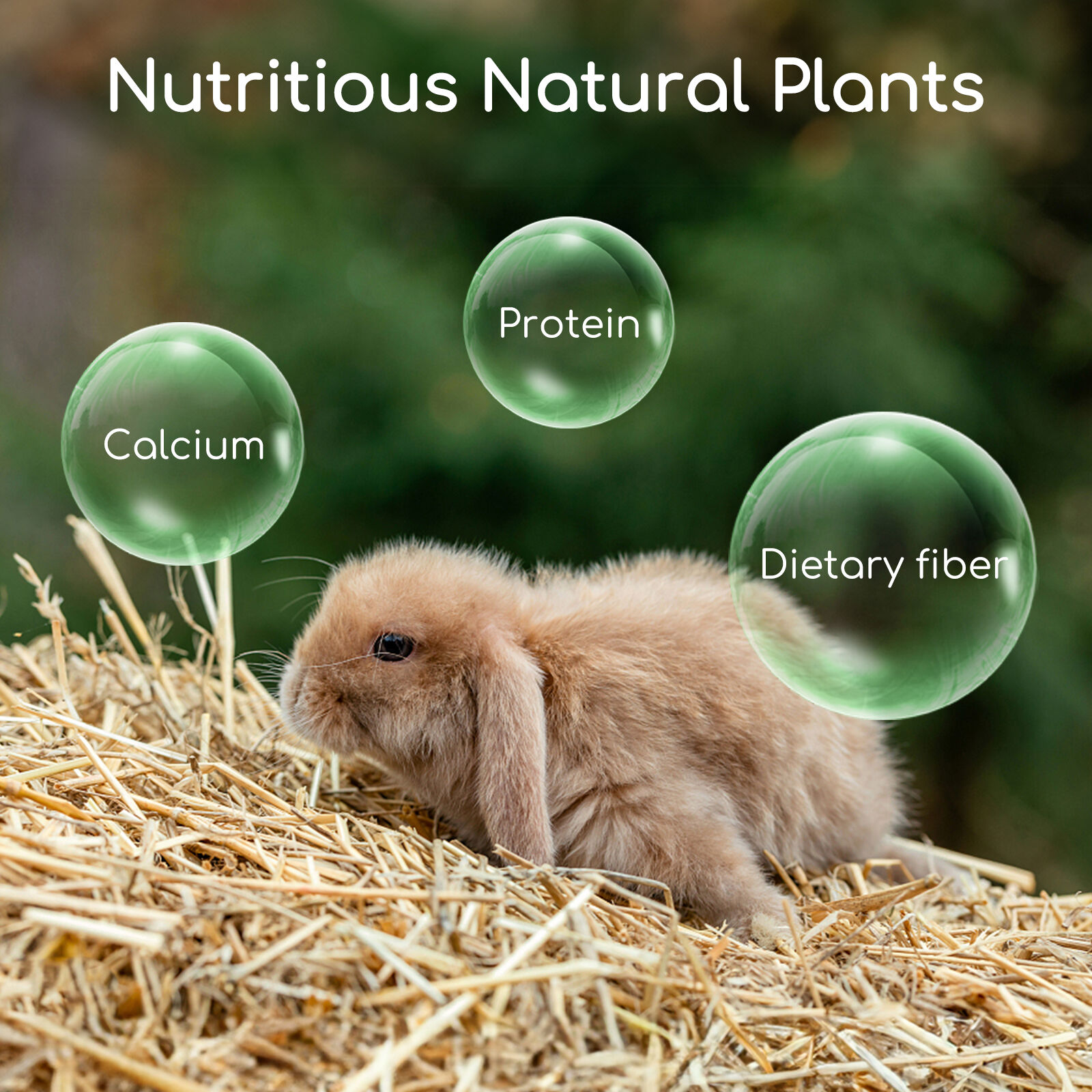 Nobleza Pienso Premium Heno para conejos thumbnail