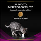 Pro Plan Veterinary Diets Urinary pienso para gatos, , large image number null
