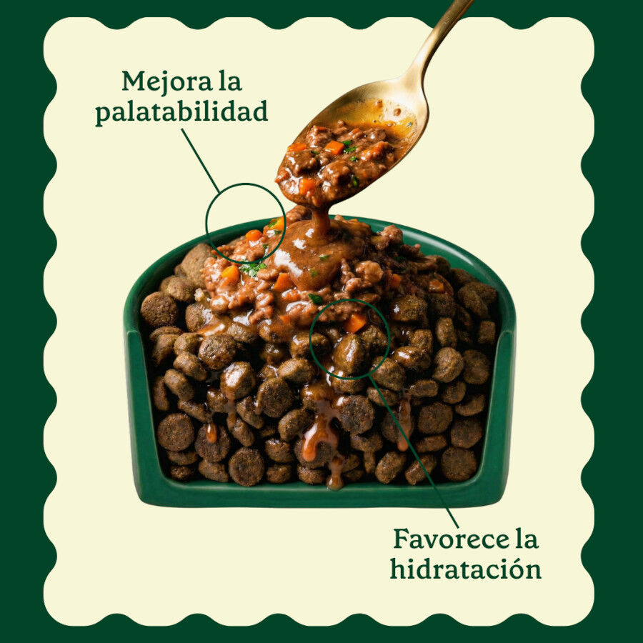 85 g Wild Balance Toppers Ternera salsa para perros, , large Imagen numero 3