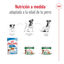 195 g Royal Canin Mini 8+ Ageing lata para perros, , large indicador imagen numero 5