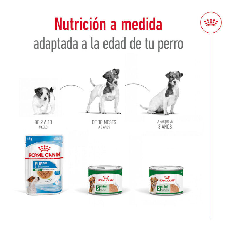 Royal Canin Mini 8+ Ageing lata para perros thumbnail