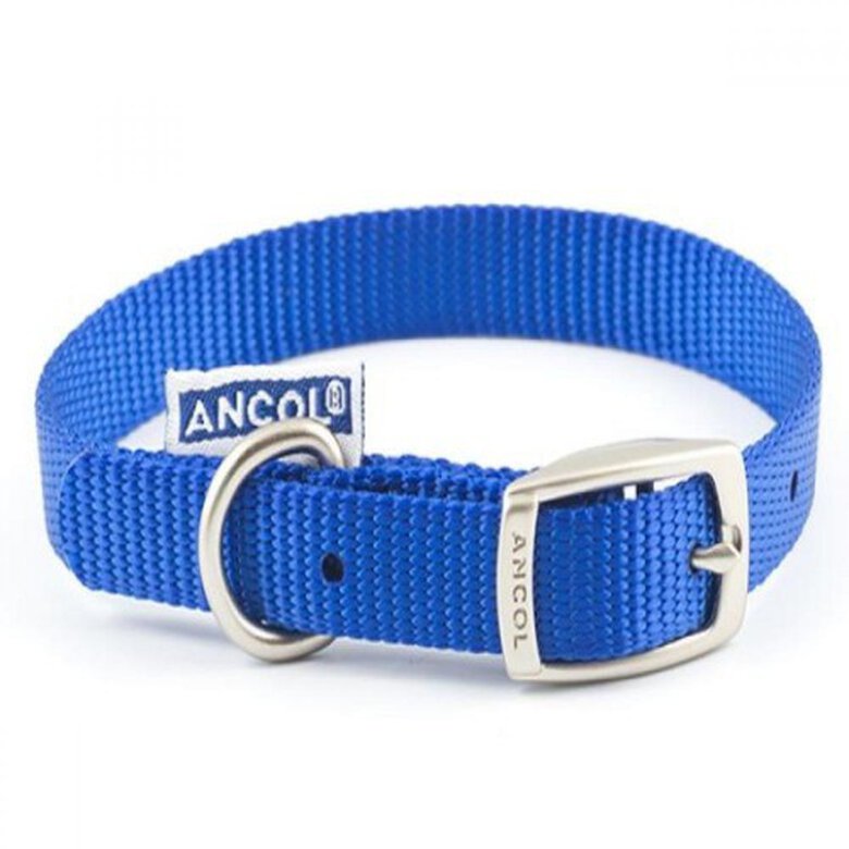 Collar Ancol de nylon para perros color Azul, , large image number null