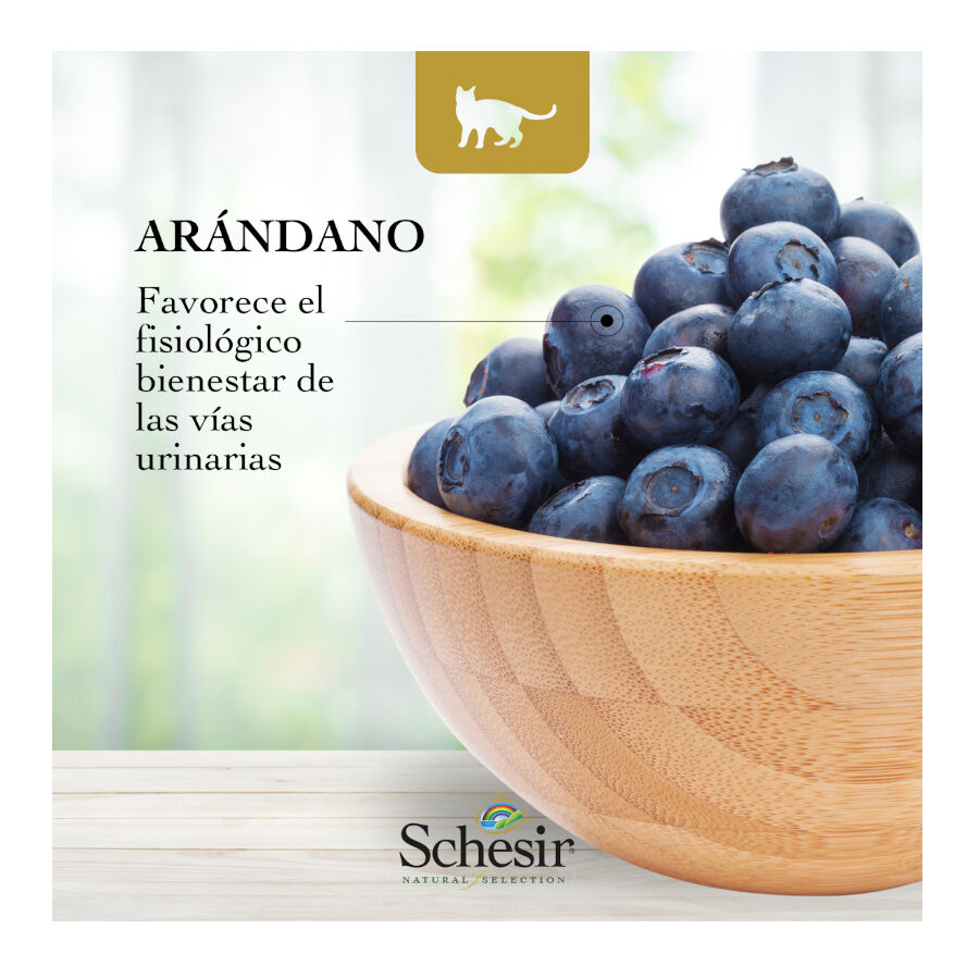 1.4 kg Schesir Adult Natural Selection Buey pienso para gatos, , large Imagen numero 4