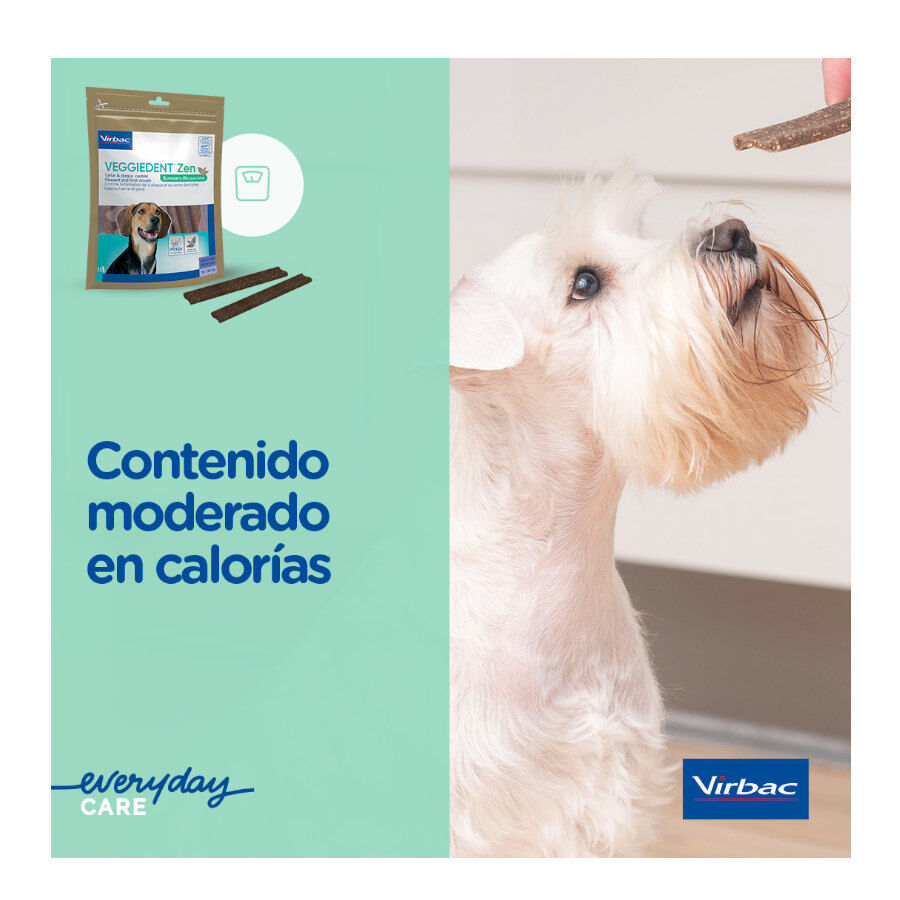 15 barritas Virbac L&aacute;minas Veggiedent Zen S para perros, , large Imagen numero 9