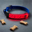 Nite Ize NiteDog Banda LED Recargable para perros, , large indicador imagen numero 6