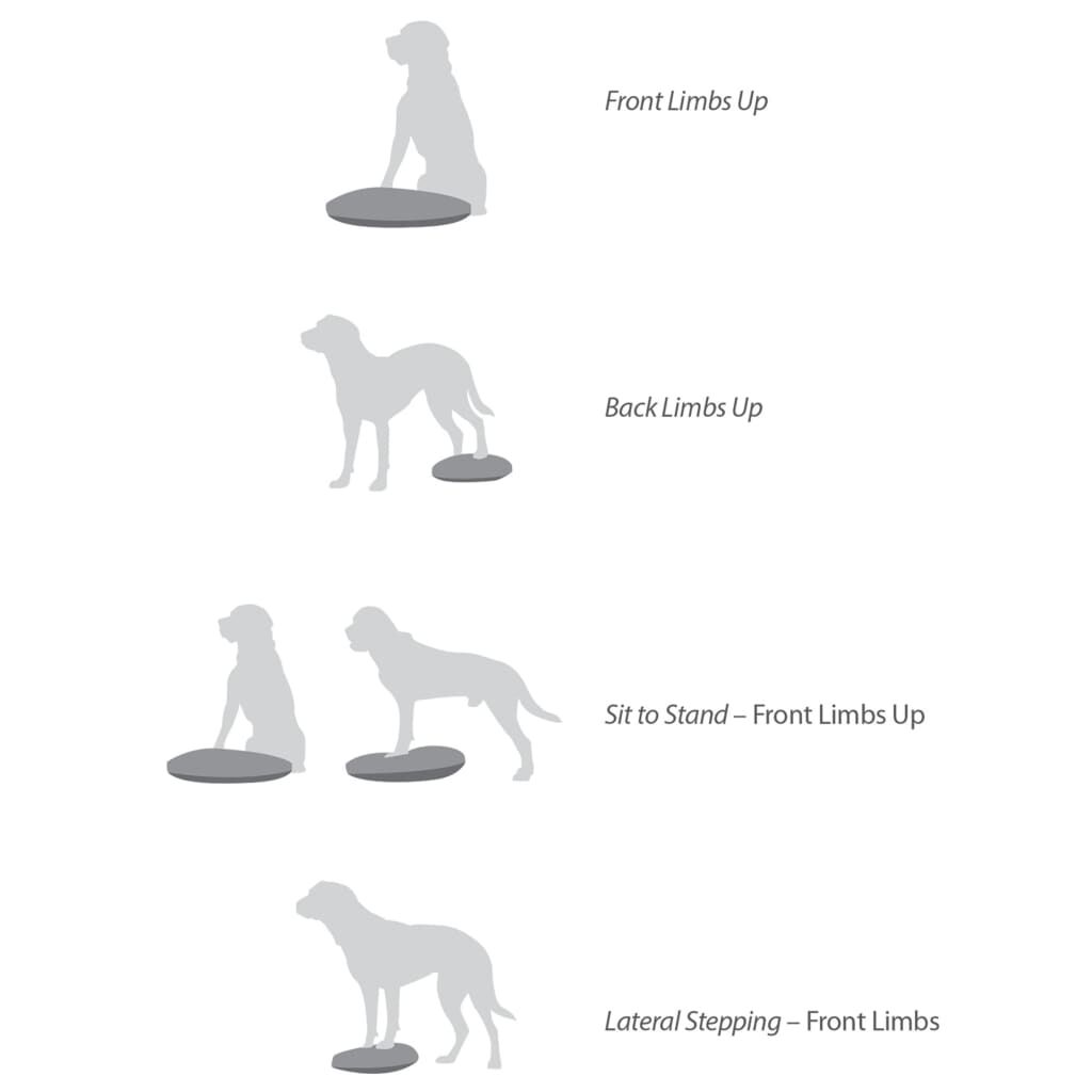 FitPAWS Disco de equilibrio para mascotas color frutos rojos 56 cm, , large Imagen numero 9