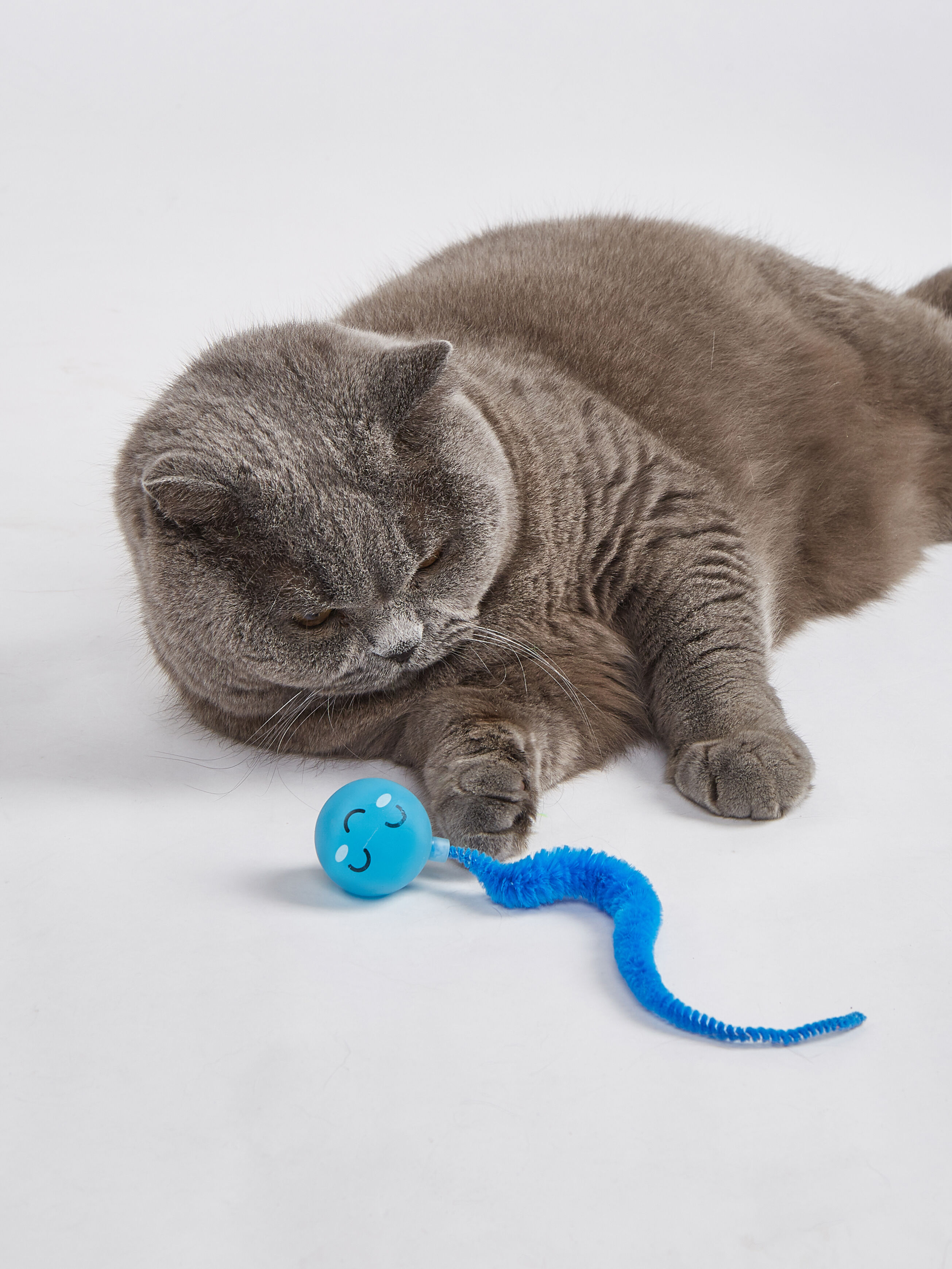 Juguete para Gato &ndash; Bolas con Cola Flexible que Brillan en la Oscuridad (Pack 2), , large Imagen numero 4