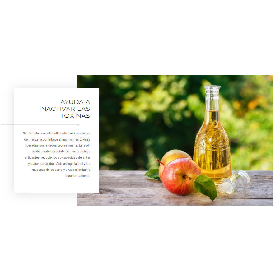 ProcesionFix Spray de Primeros Auxilios contra Procesionarias para Perros, , large Imagen numero 2