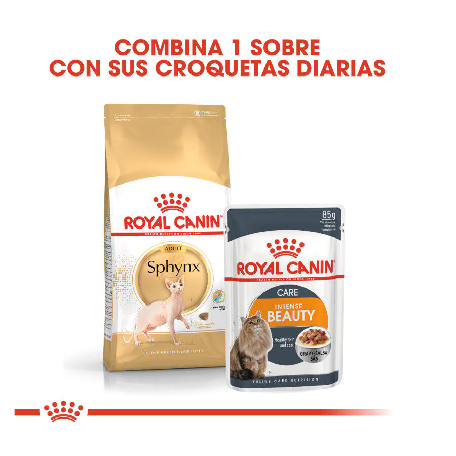 Royal Canin Adult Sphynx pienso para gatos thumbnail