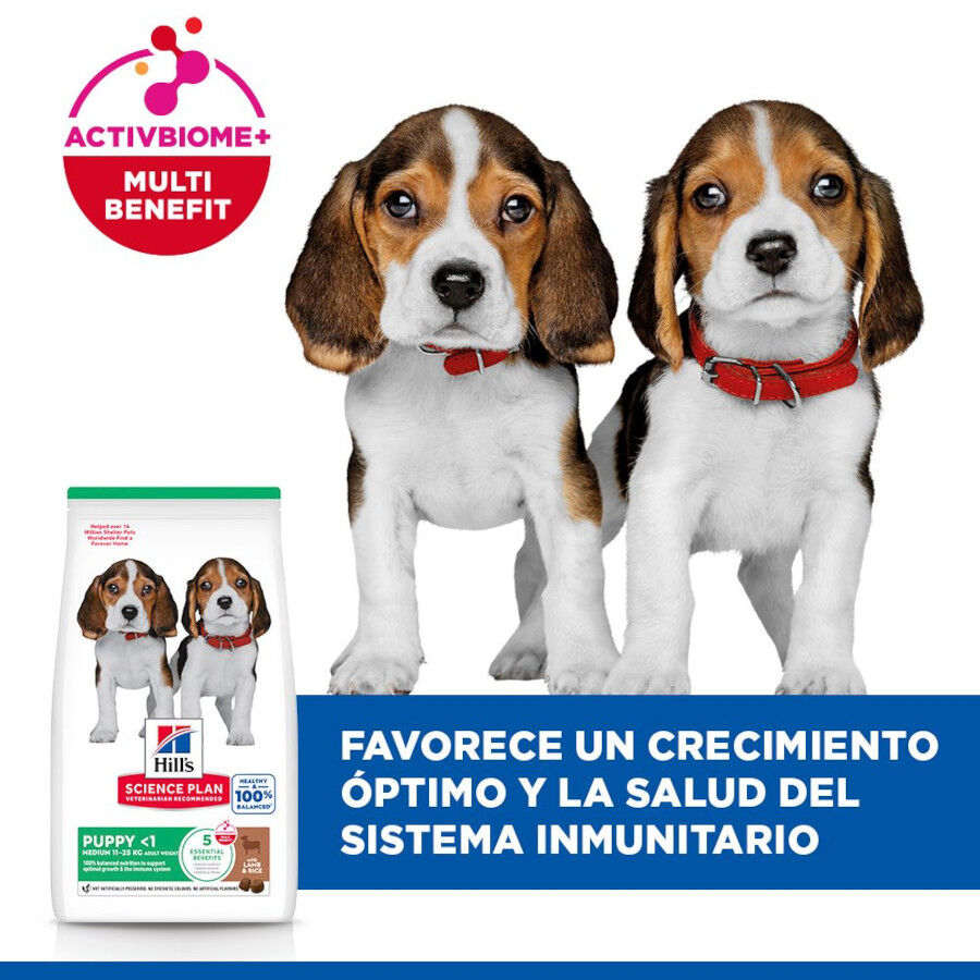 14 kg Hill's Science Plan Puppy Medium Cordero y arroz Pienso para perros, , large Imagen numero 4
