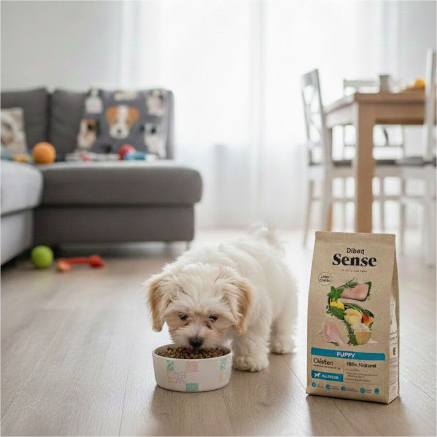 12 kg Dibaq Sense Low Grain Puppy Pollo Pienso para perros, , large Imagen numero 4