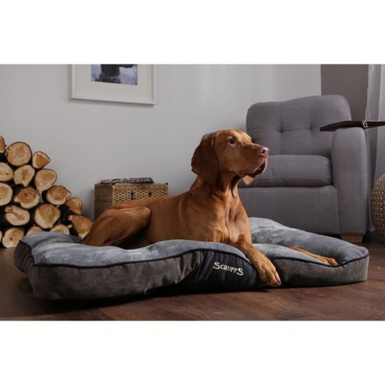 Cama Chester para perros color Gris, , large image number null