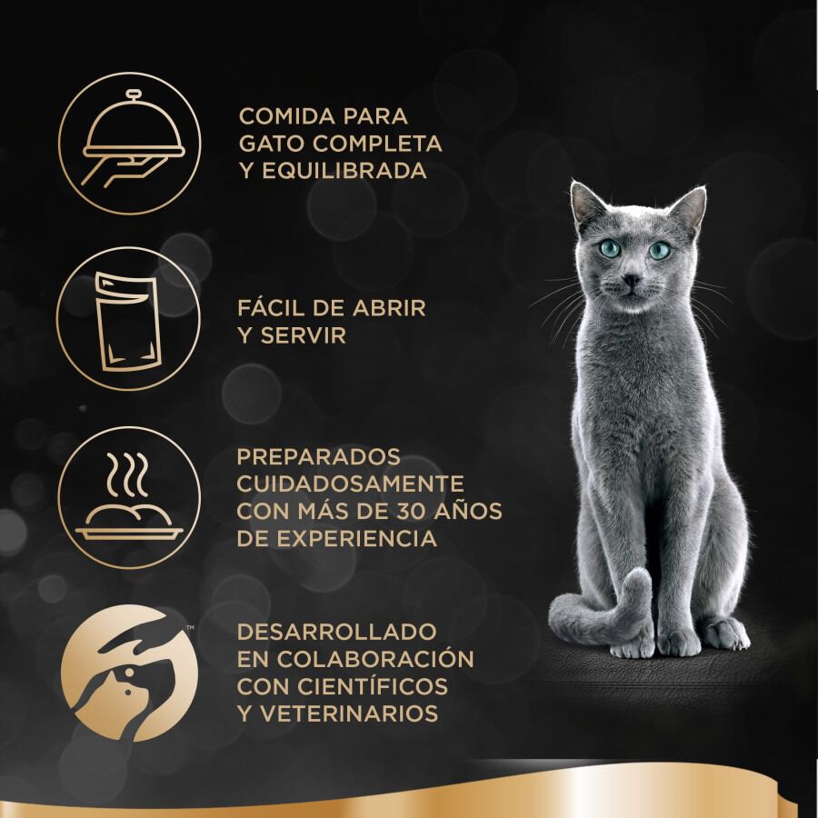 4 sobres x 85 g Sheba Les Cr&eacute;ations Pollo Salsa en Bolsita para Gatos - Multipack, , large Imagen numero 6