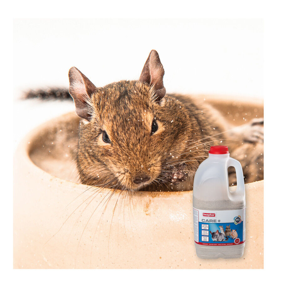 Beaphar Care+ Arena de Baño para chinchillas thumbnail