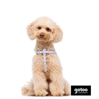 Gotoo Arnés estampado cuadro vichy gris para perros