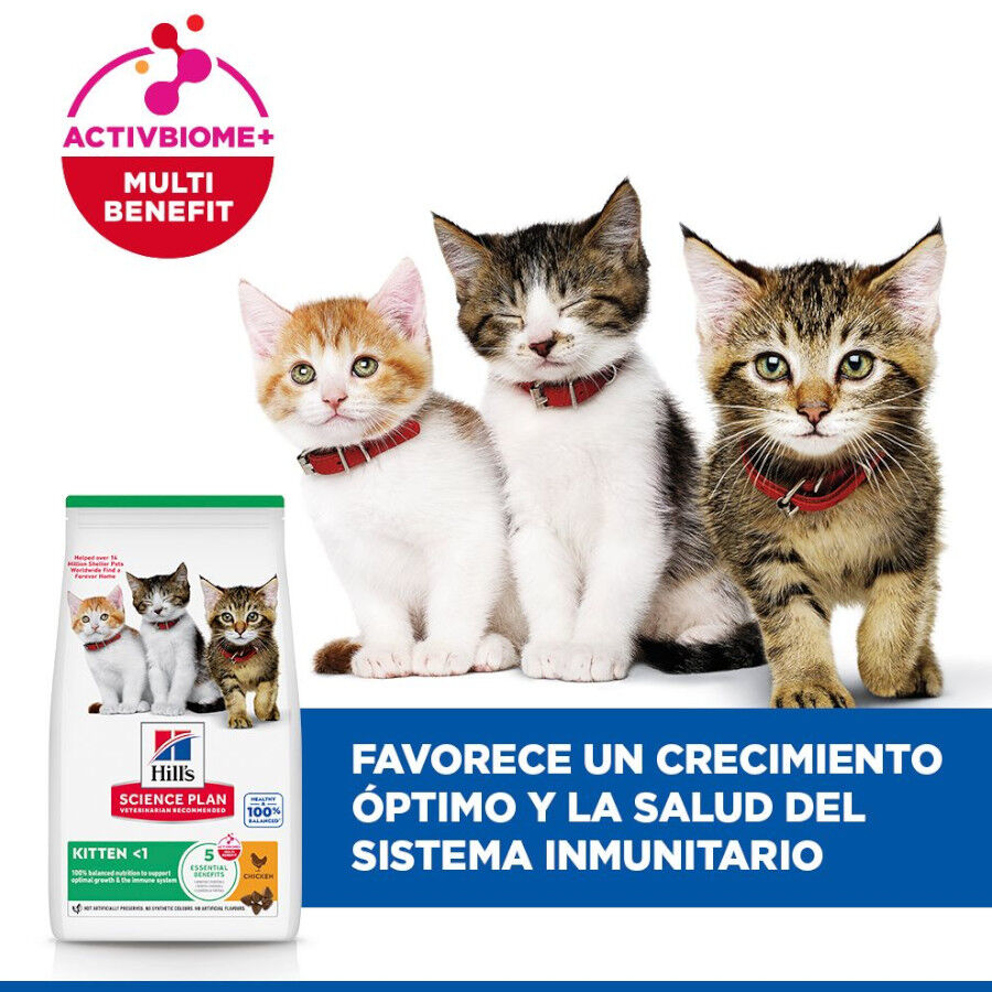 7 kg Hill's Science Plan Kitten Pollo pienso para gatos, , large Imagen numero 3
