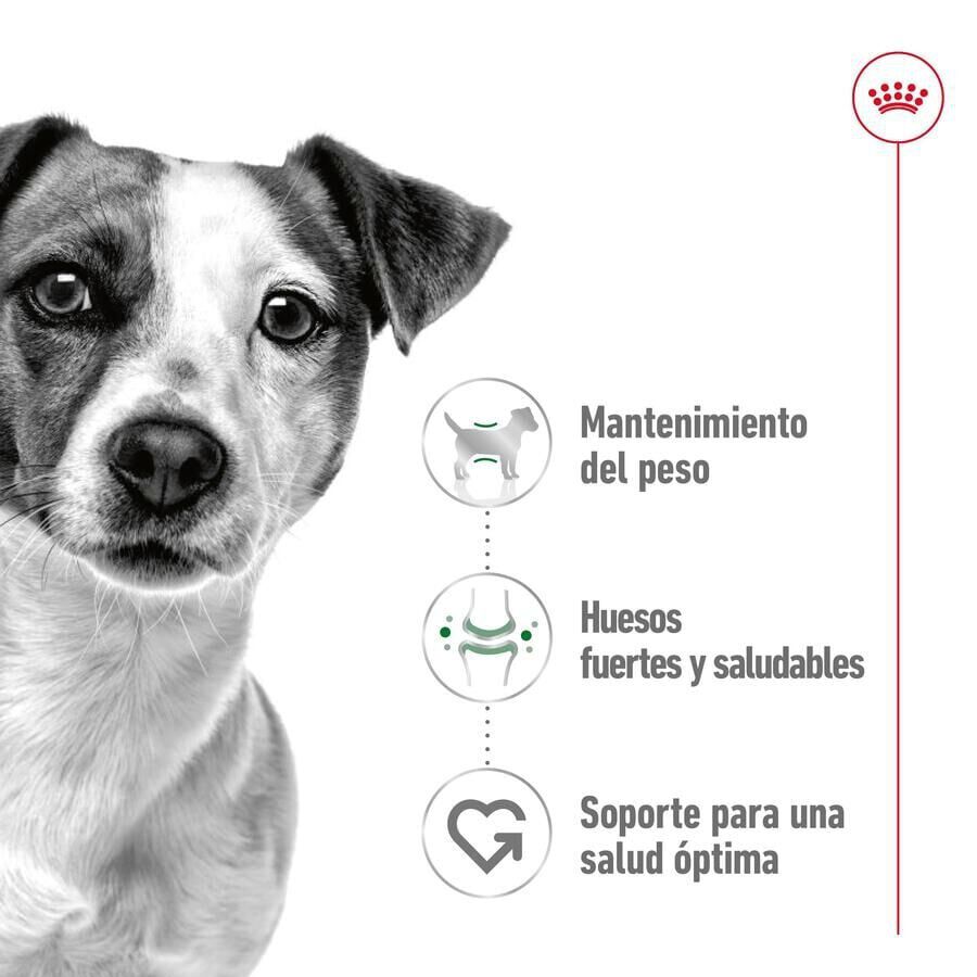 Royal Canin Mini Adult sobre en salsa para perros thumbnail