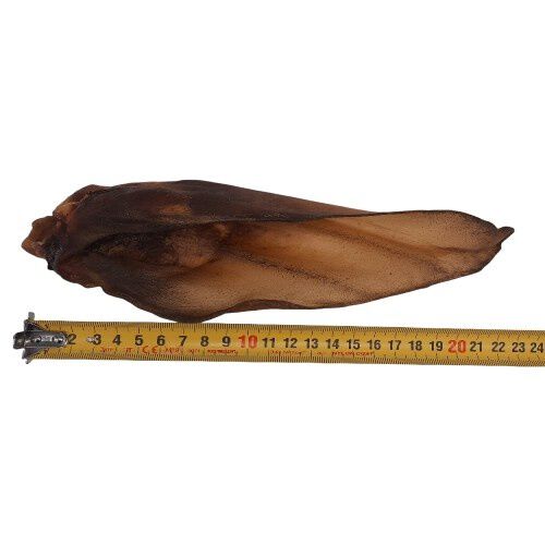 Dognia Oreja de Vaca con Carne para perros, , large Imagen numero 2