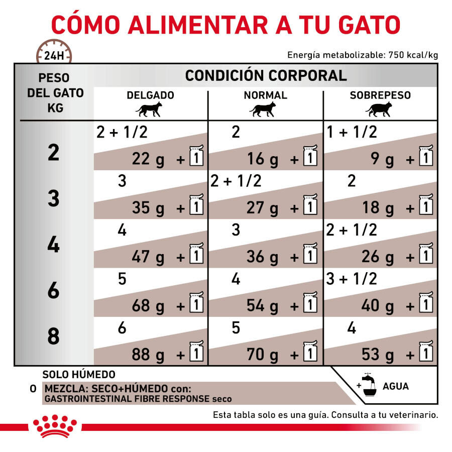 12 sobres x 85 g Royal Canin Gastrointestinal Fibre Response L&aacute;minas en Salsa Sobre para gatos, , large Imagen numero 6