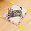 Nobleza Alfombrilla Scratcher Cat, Almohadilla De Sisal Natural, Estera para Rascar El Gato, Protege El Piso y El Sofá (45x34cm, Marrón), , large indicador imagen numero 2