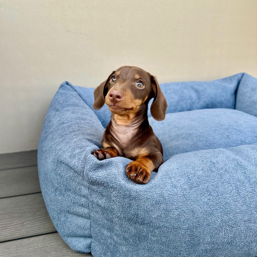 CAMA DE BORREGO NUBE - GRANDE, , large Imagen numero 2