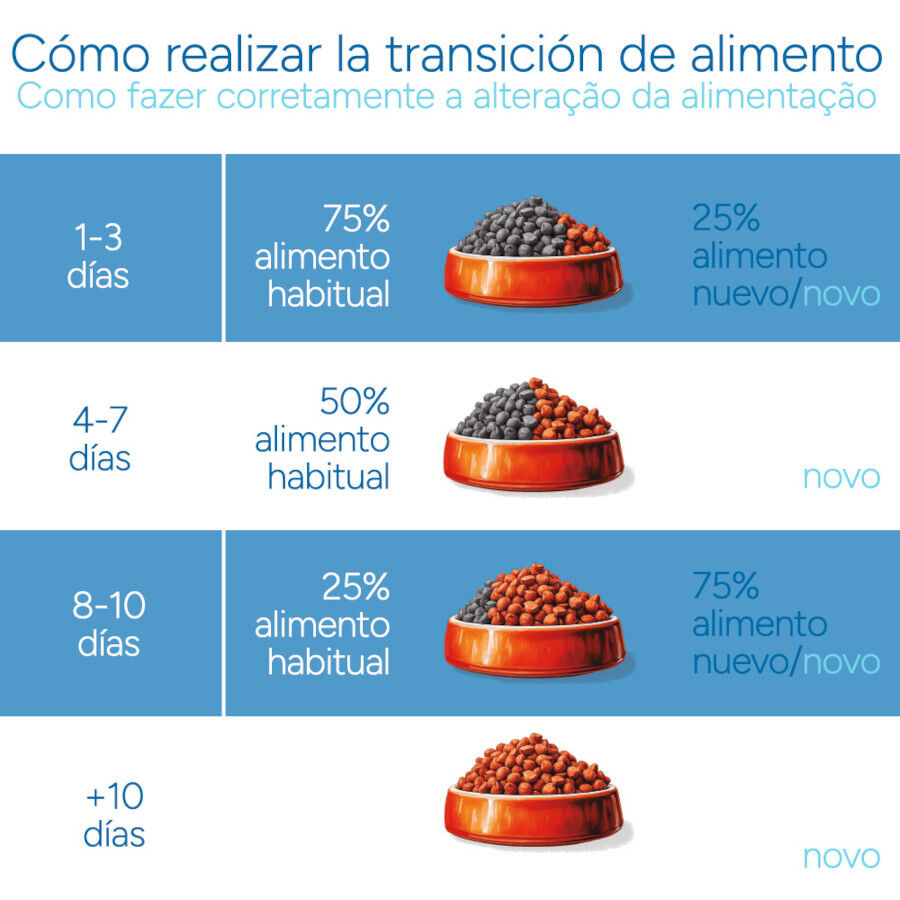 Criadores Cient&iacute;fico Kitten pollo pienso para gatitos, , large Imagen numero 10