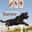 KOWI MOVE DROPS 125 ML, , large indicador imagen numero 2