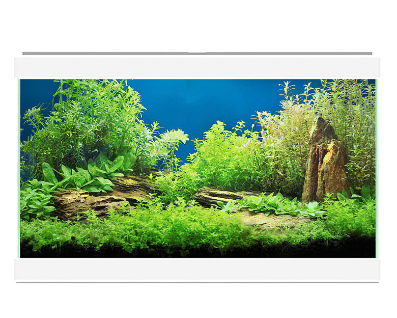 Ciano acuario de cristal Aqua 20 Blanco thumbnail