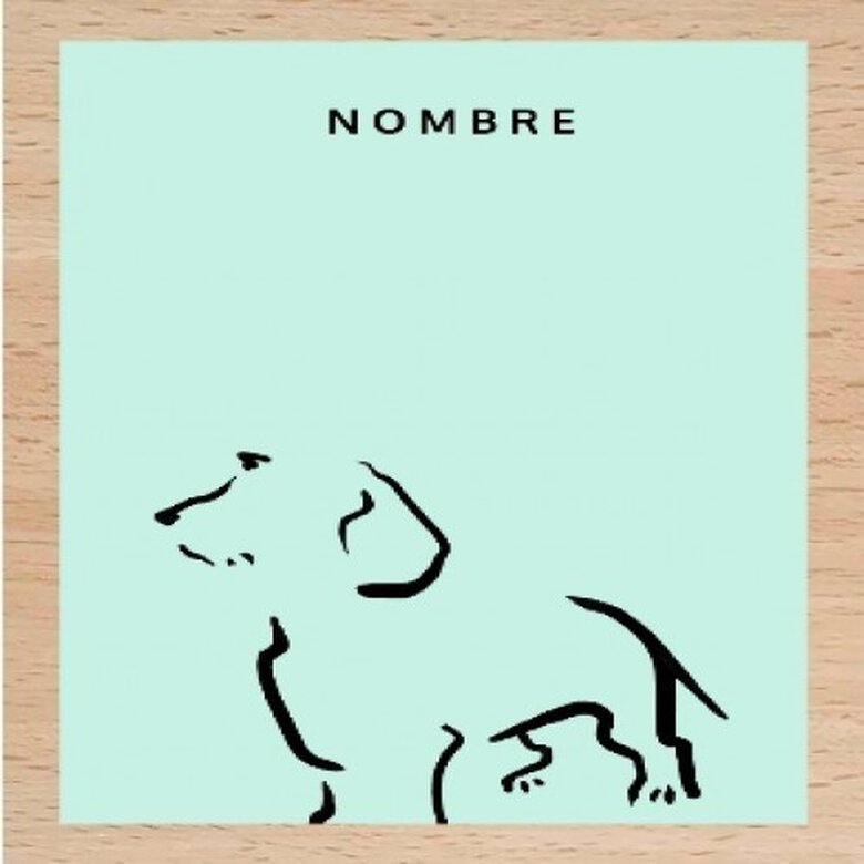 Ilustración de Terrier A4 con marco de madera color Mint, , large image number null